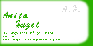anita hugel business card